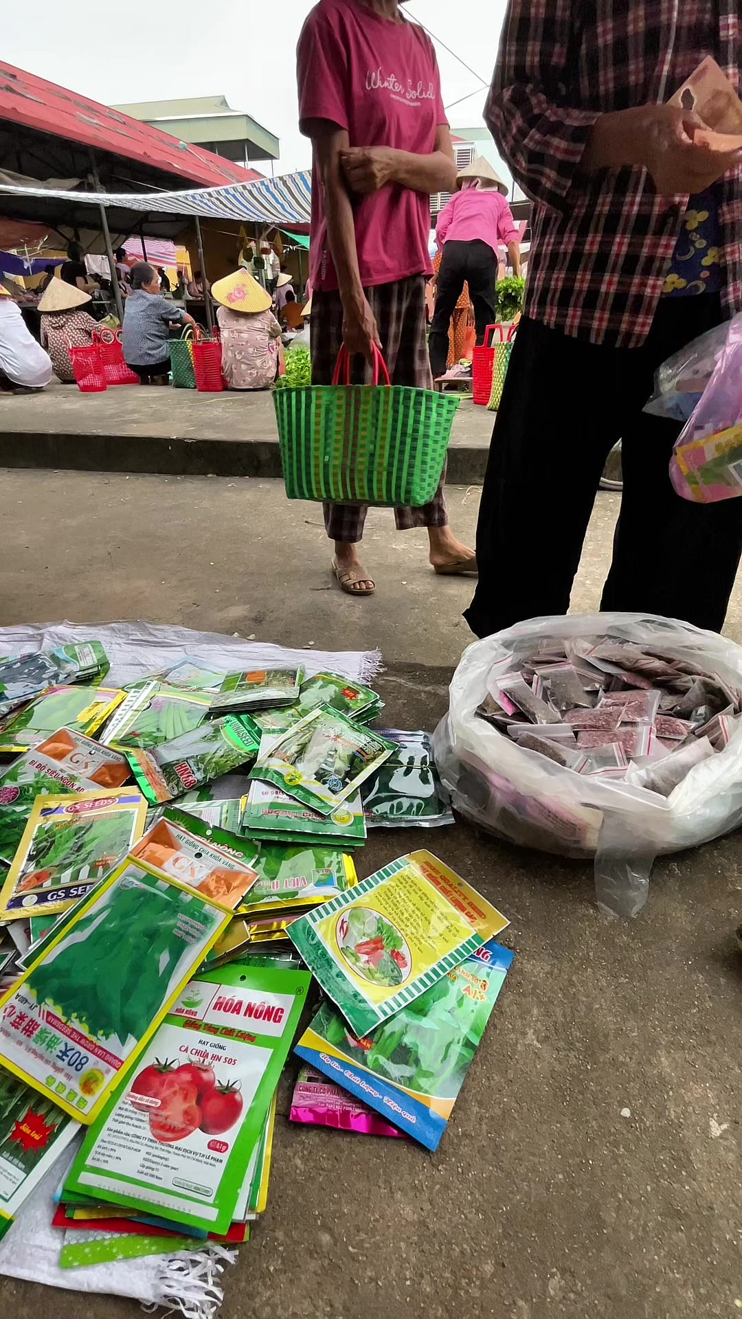 @Bán hạt giống
