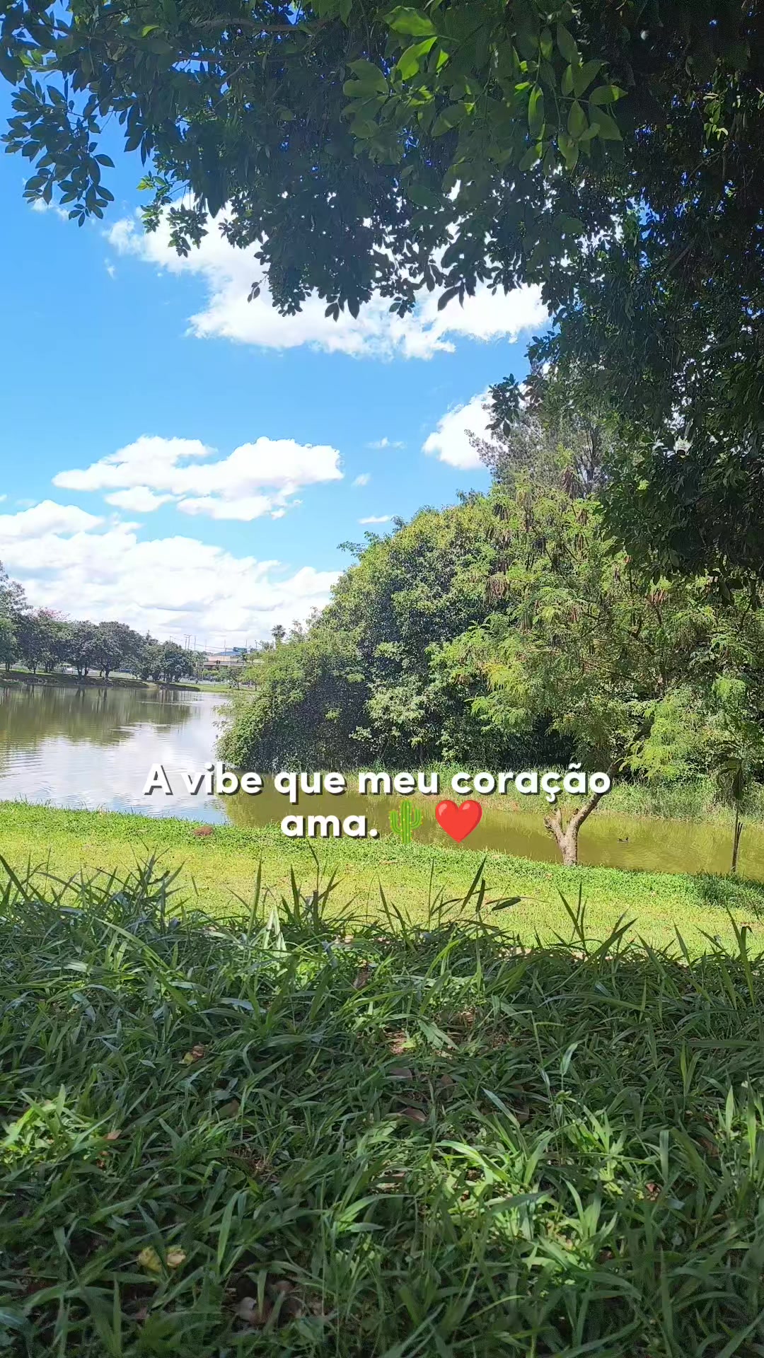 @Elieuda feliz