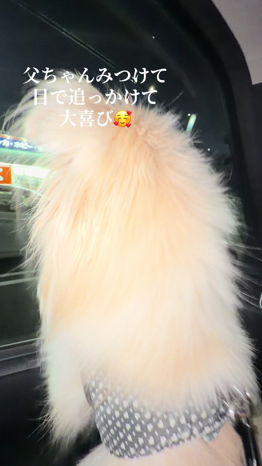 @mak☺︎t☺︎💕(山元)