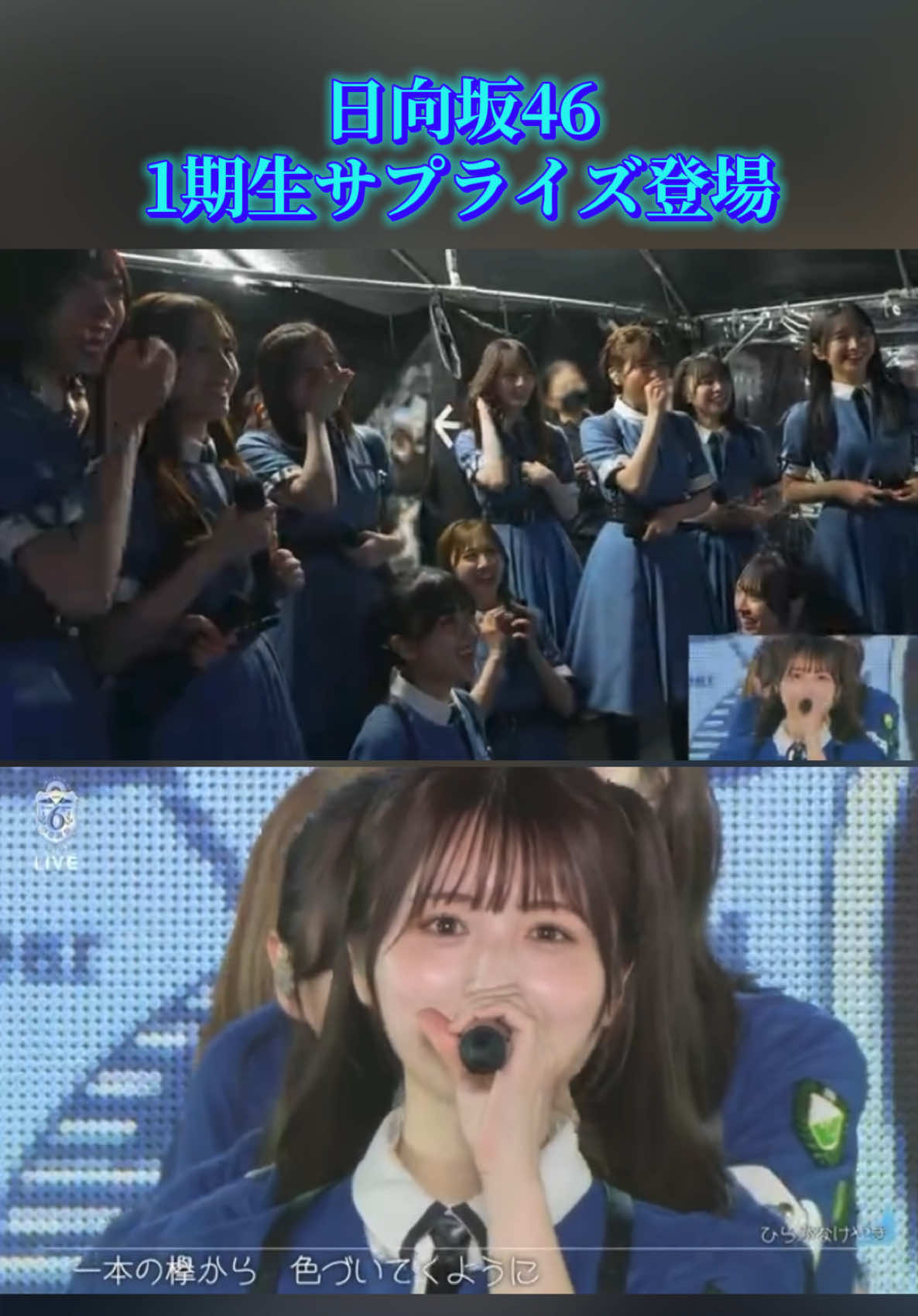 @櫻乃日