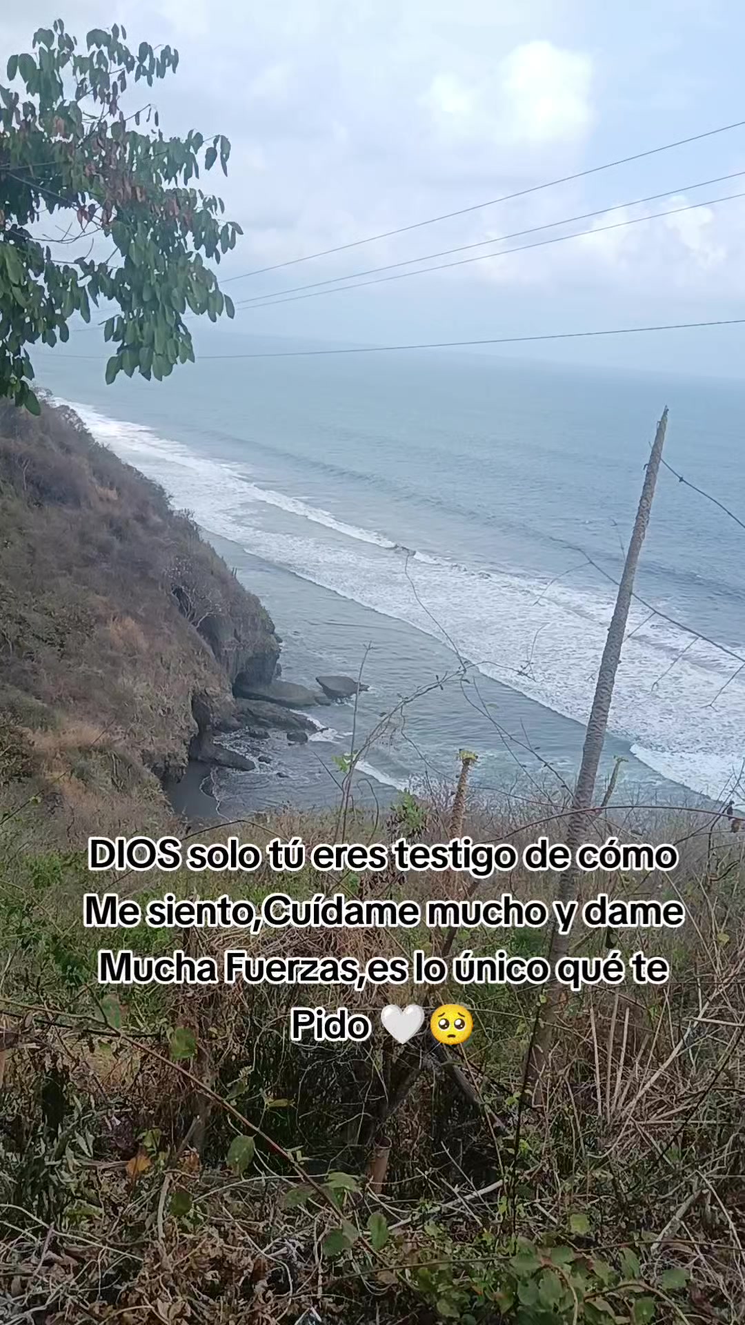 @Ulises.1982p
