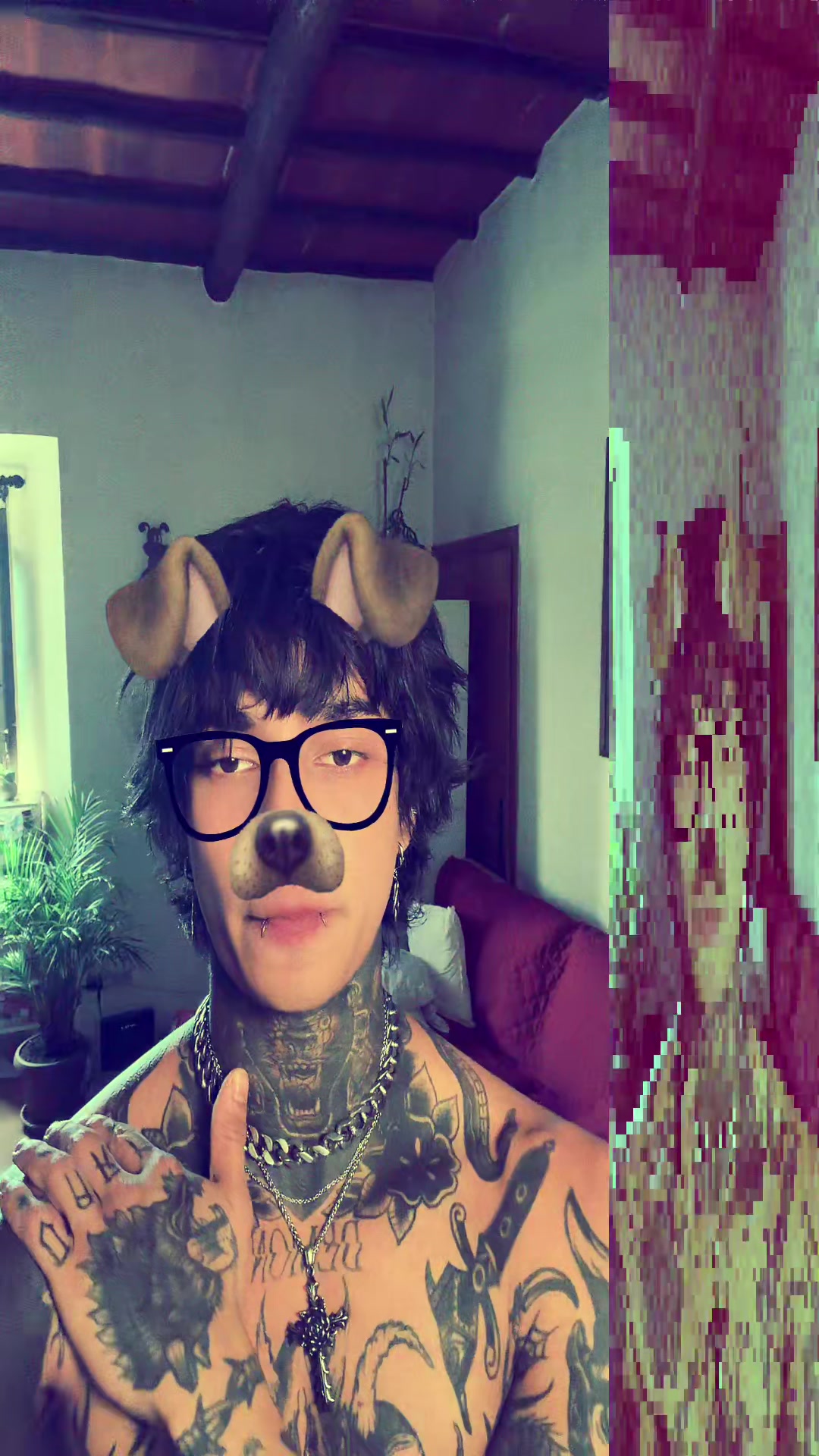 @Cvltvvamp