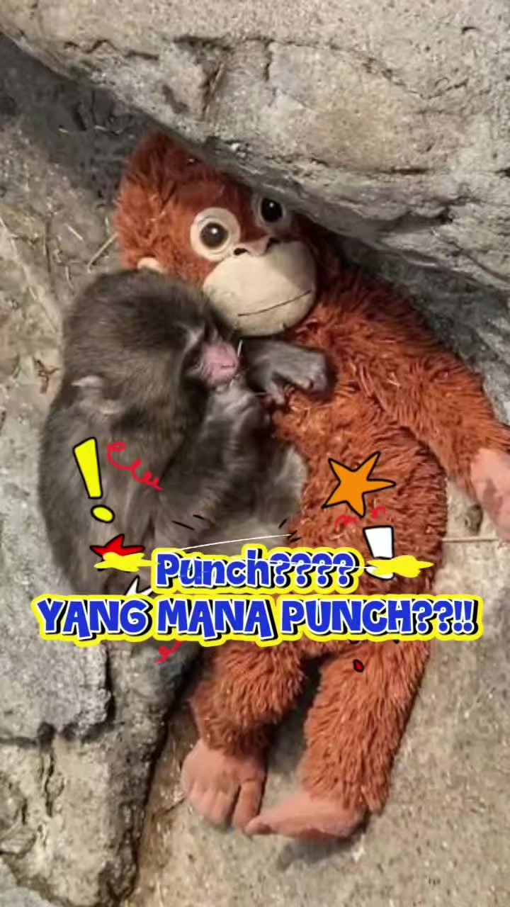 @Mama Backpacker