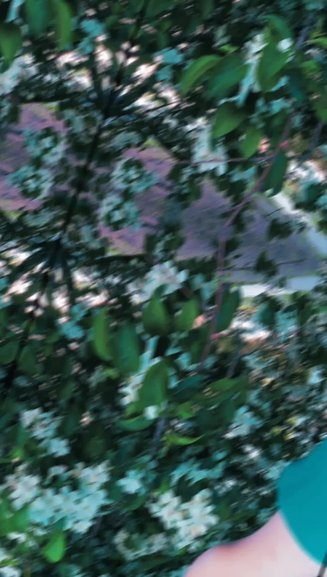 @Çiçeğim H🖇️🌸