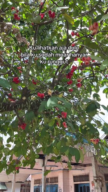 @summy