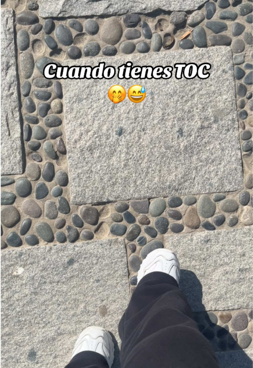 @Brunoils_