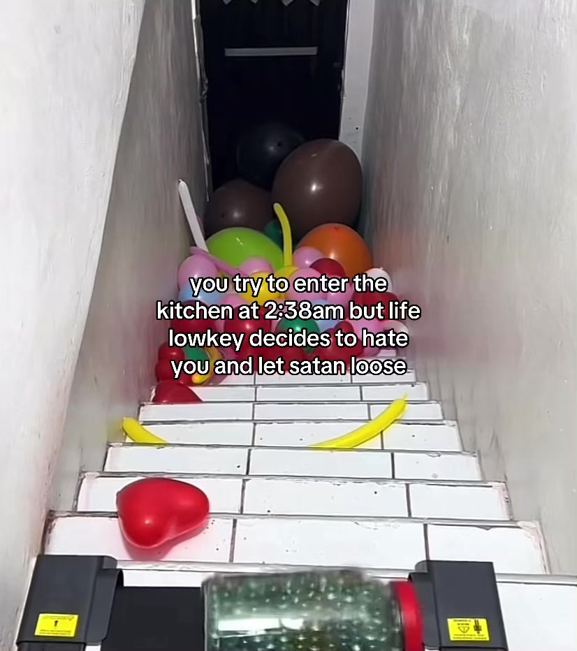 @🪼 𝗌𝖺𝗏𝖺𝗇𝗇𝖺𝗁 🫧