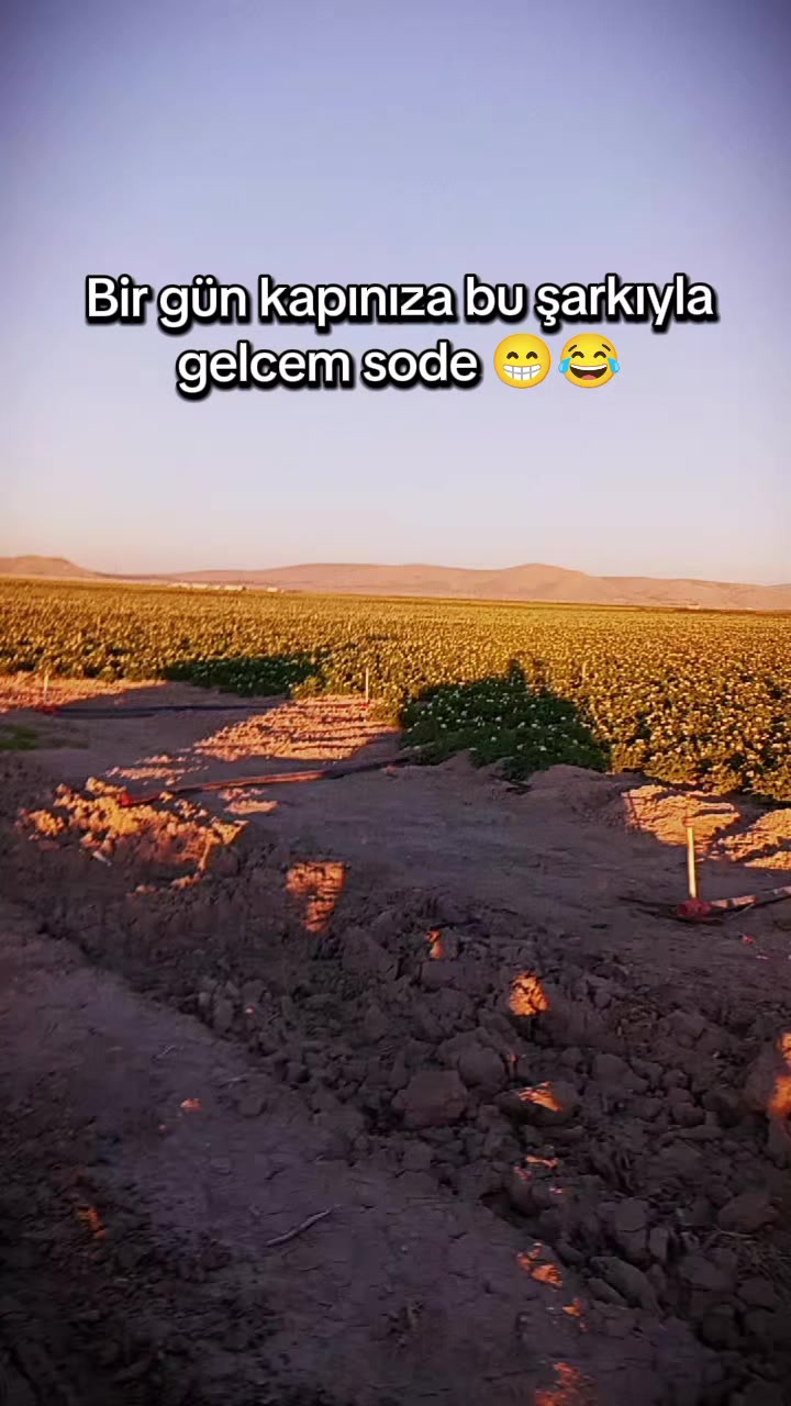 @وسـيم آل نايـف