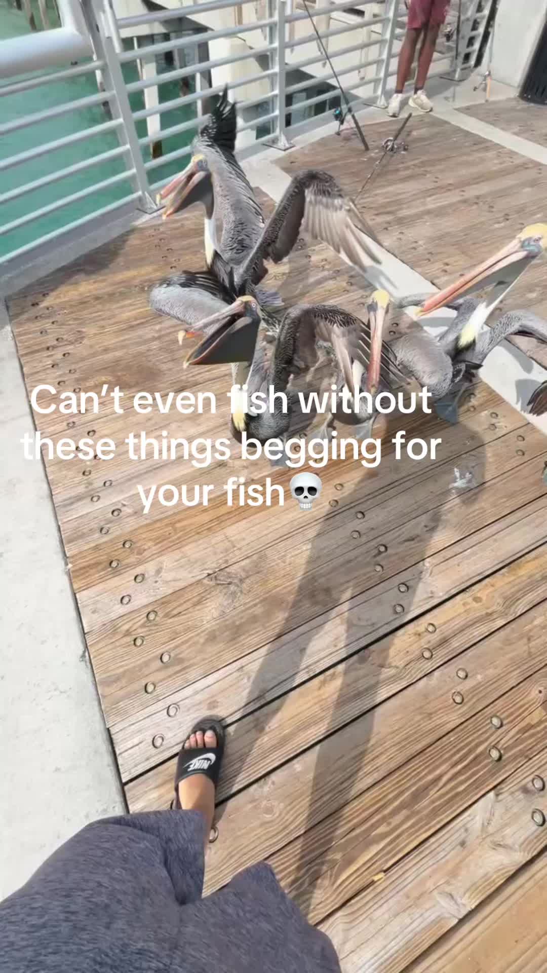 @DC.Fishin