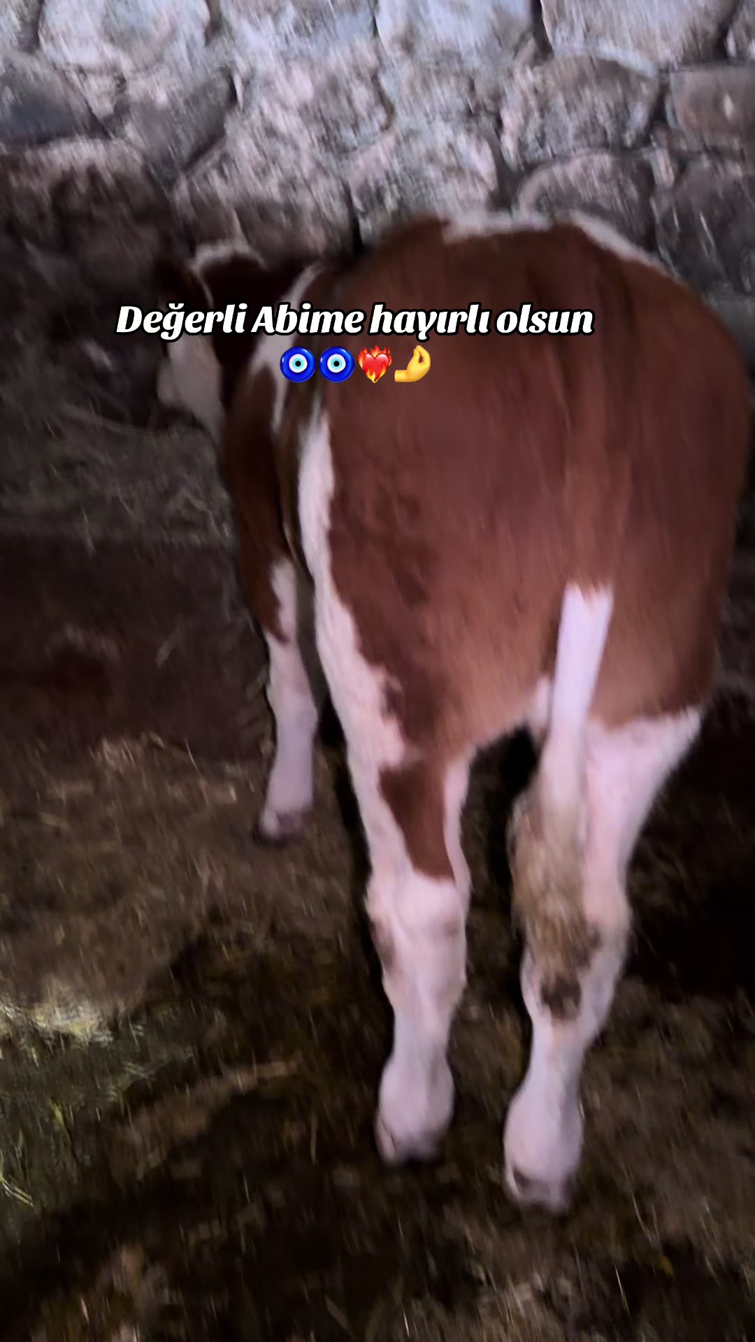 @Es DOĞANLAR HAYVANCILIK 🦅