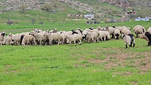 @Huda Barafi