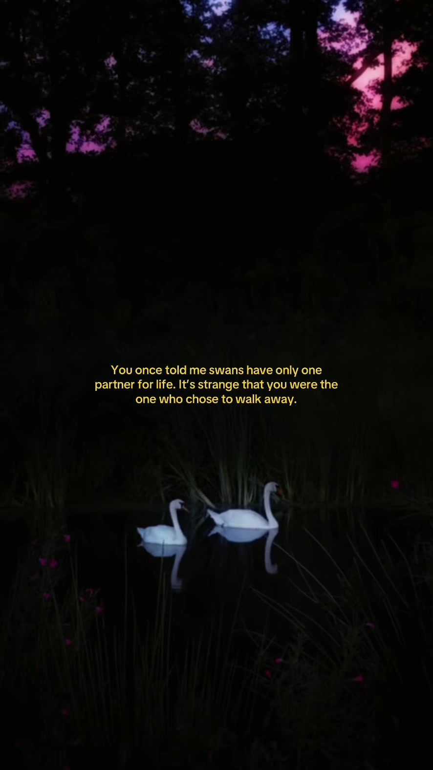 @inanotherlife