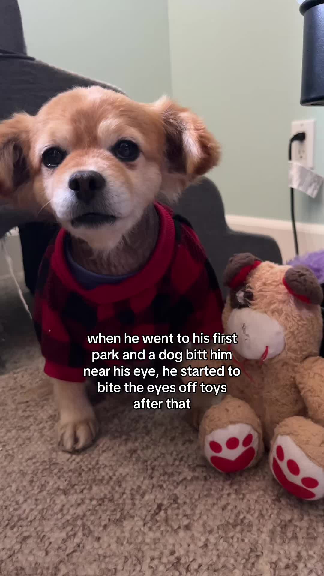 @kingpep