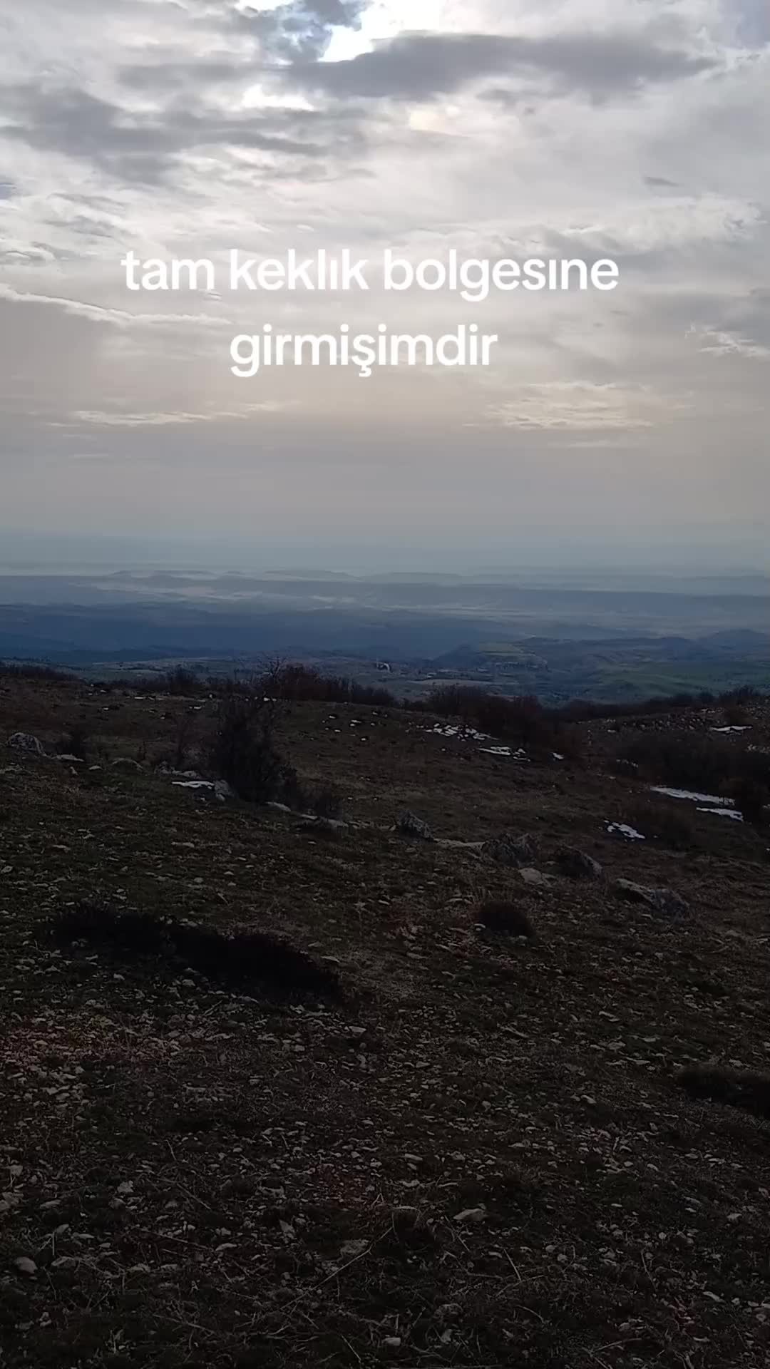 @avci