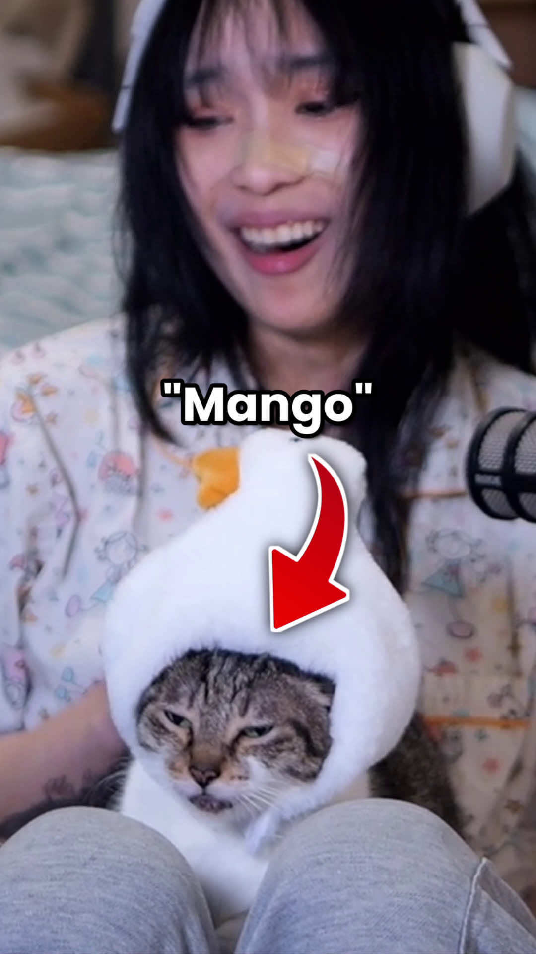 @Leezipotato