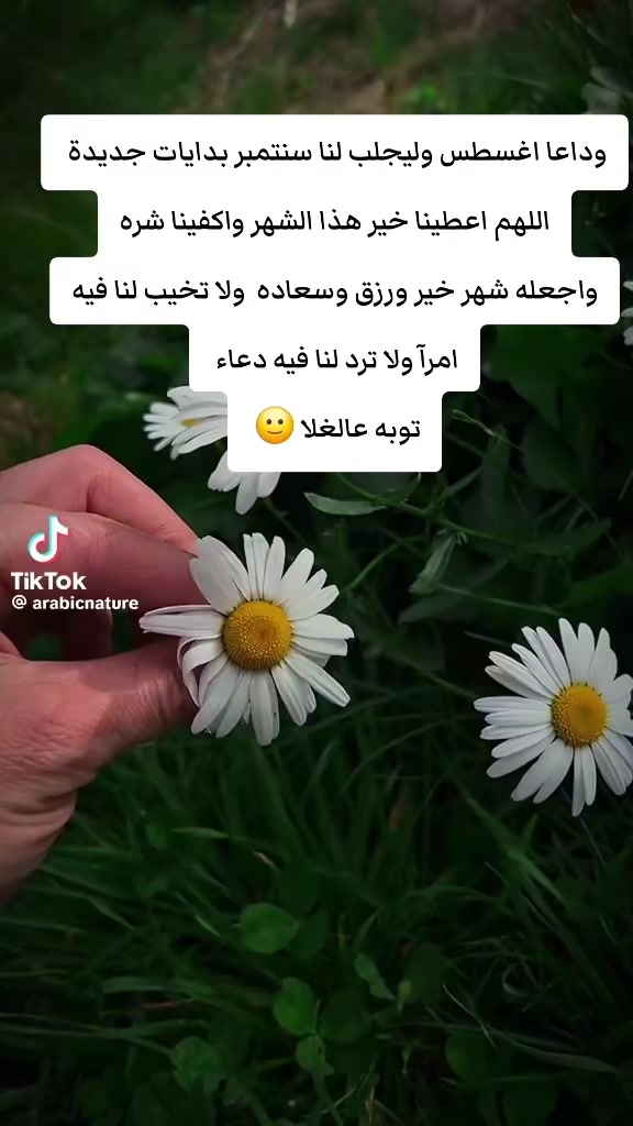 @تہٰۣٚ۬وبہٰۣٚ۬ه عہٰۣٚ۬آلغہٰۣٚلا