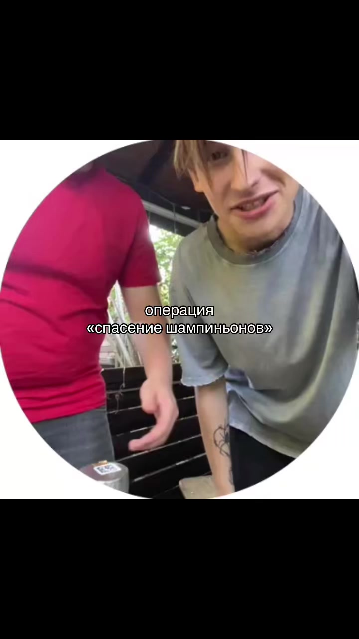 @kojicx