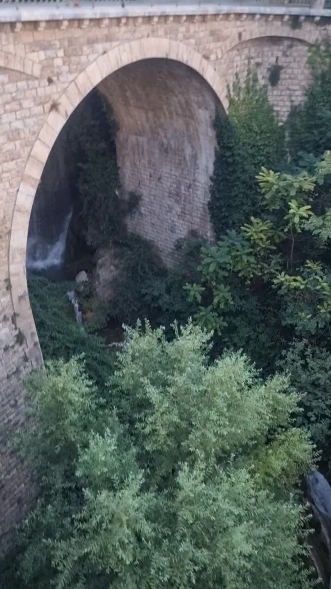 @Zagalo007