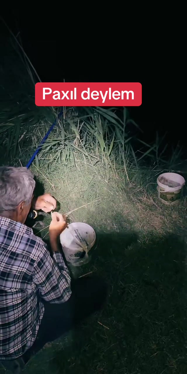 @elaqenomresi0771758171