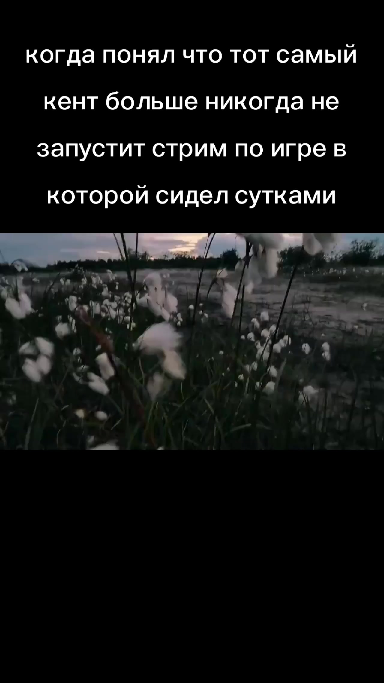 @delositi