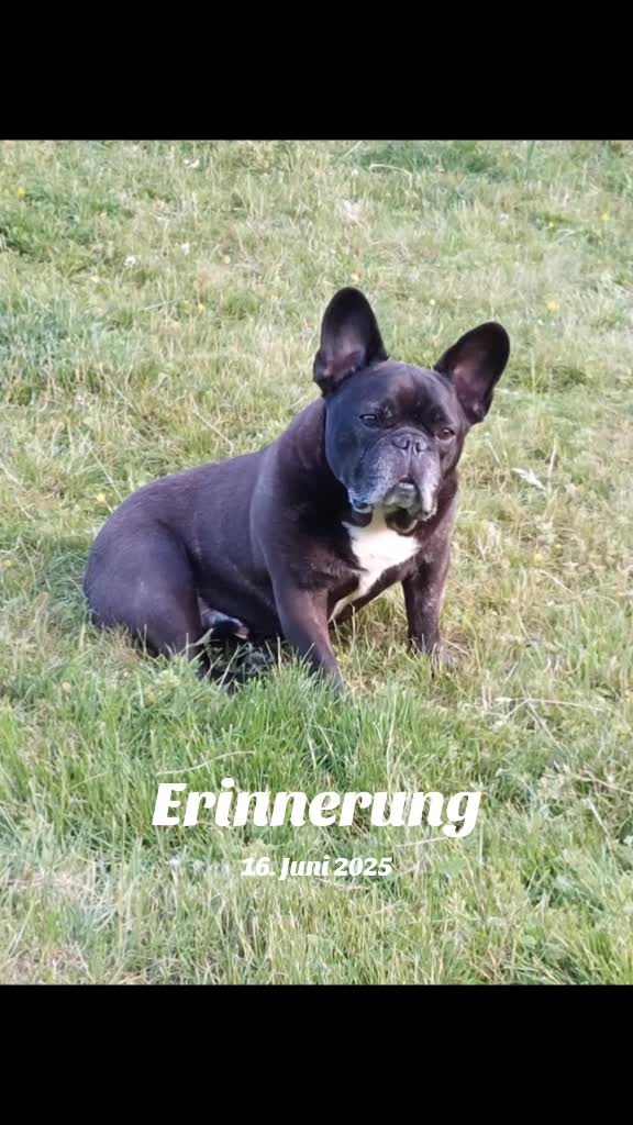 @Fitness f&uuml;r Pfoten