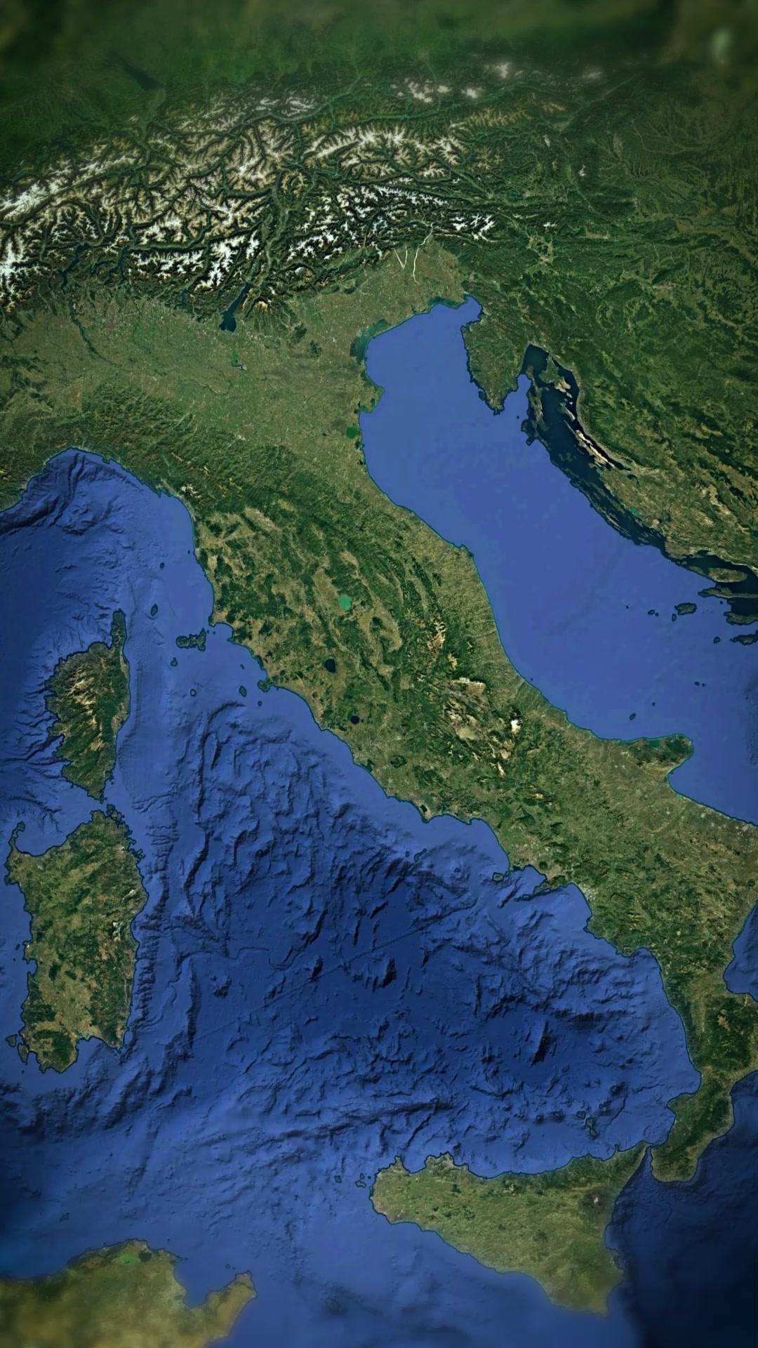 @previsionidelcazzo.tv