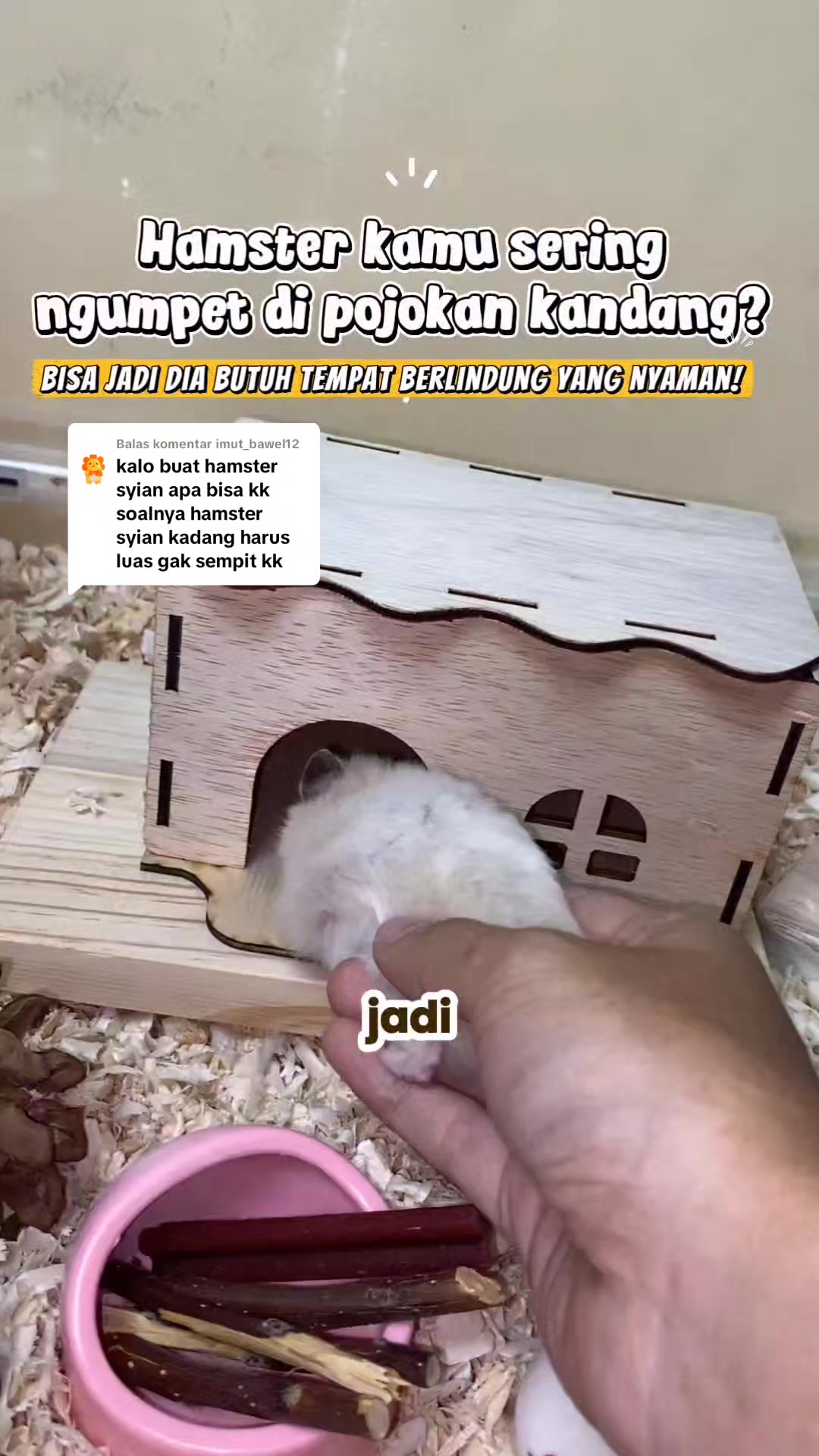 @TamaGo Pet