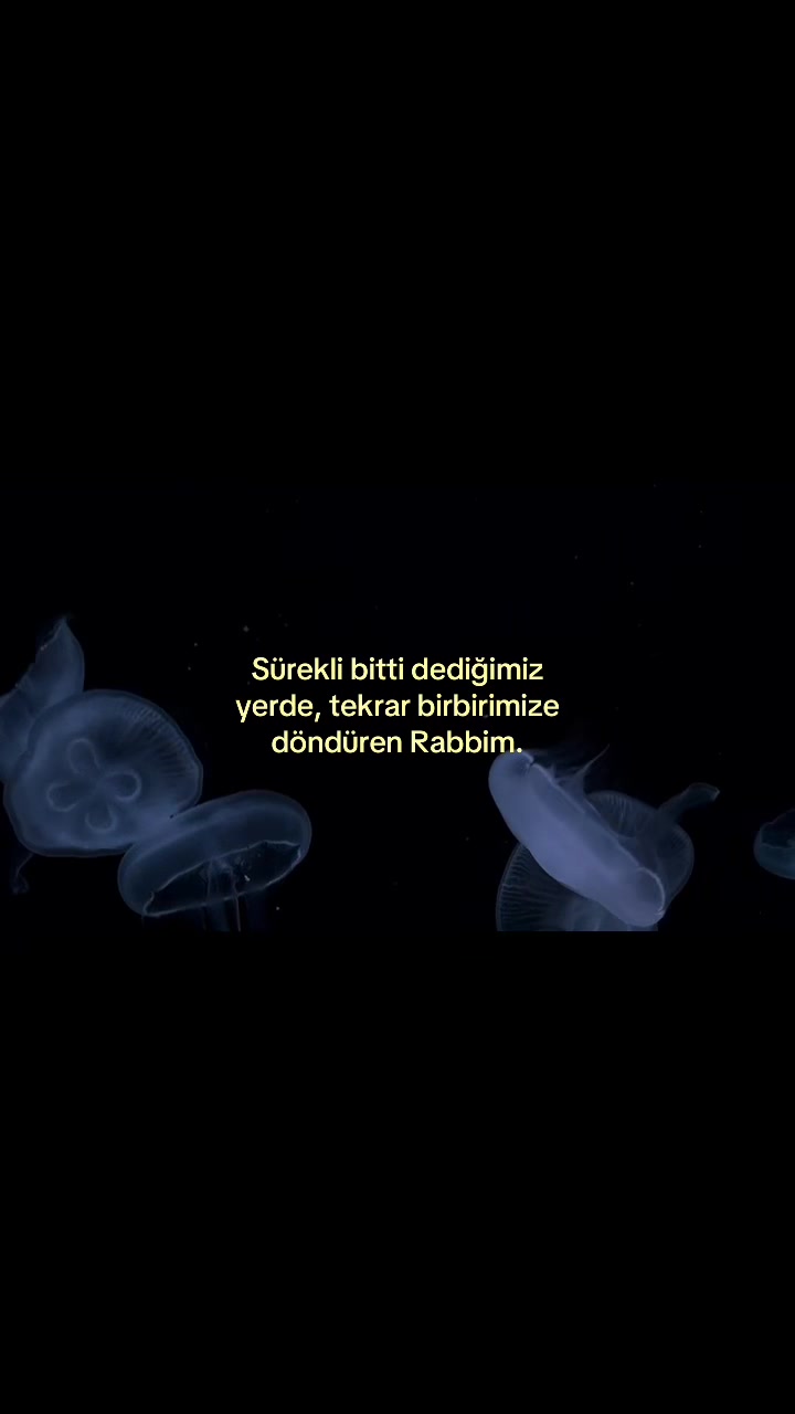 @𝑺.