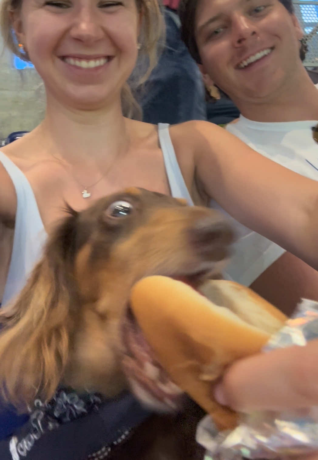 @bananaislong