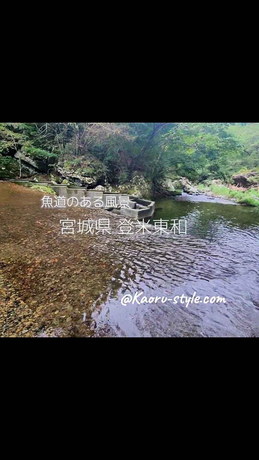@cjカオル