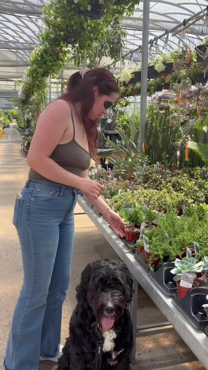 @TaivaFinlayson