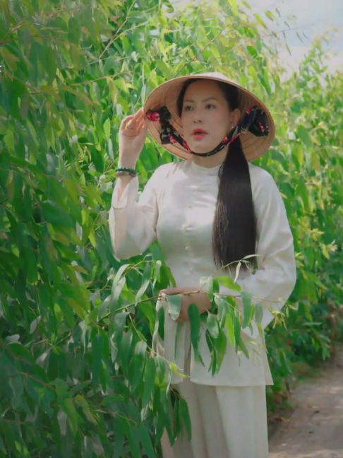 @Nam Việt Bolero