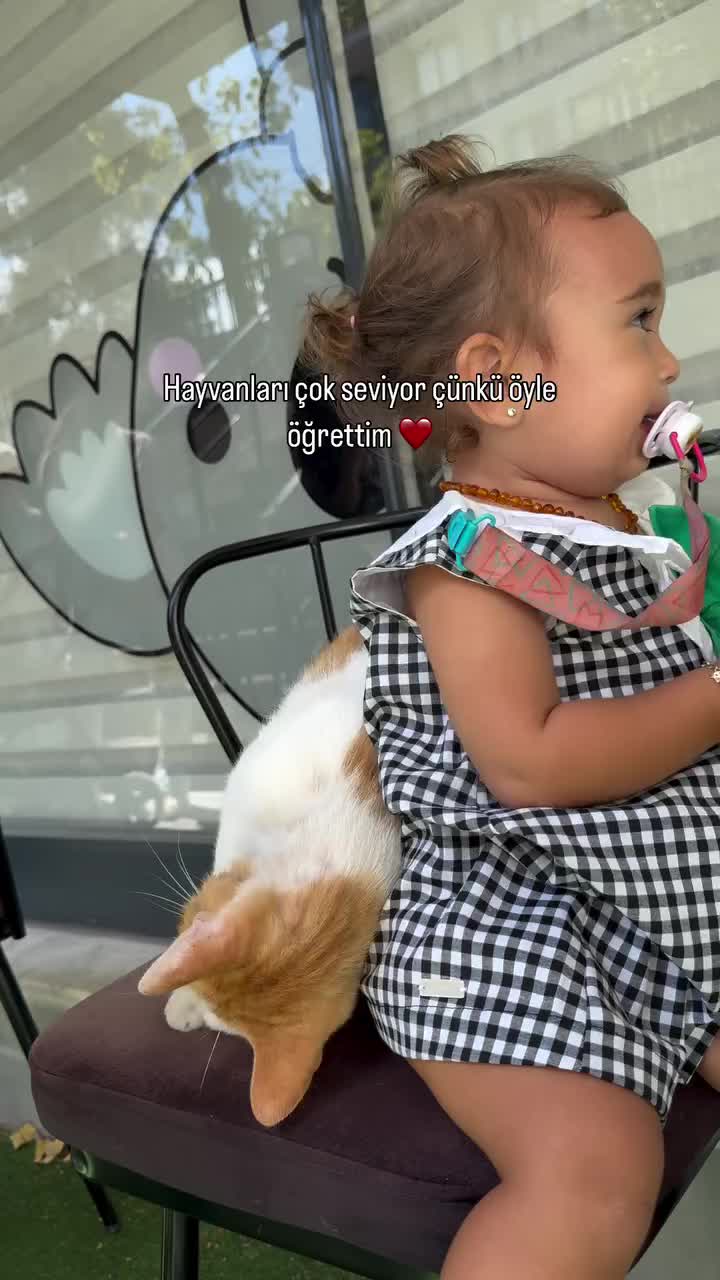@mervemeted