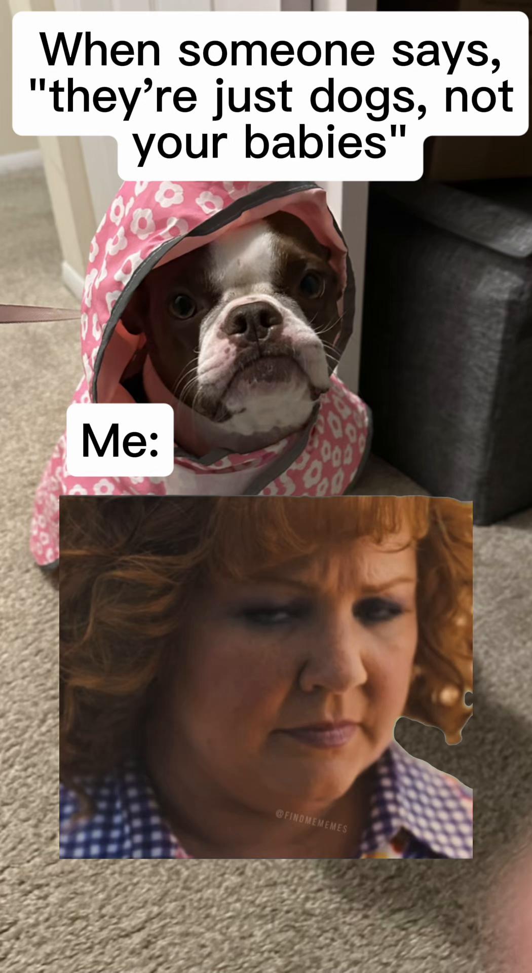 @Susie