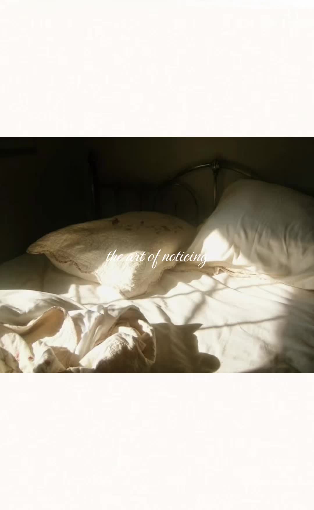 @softautumn