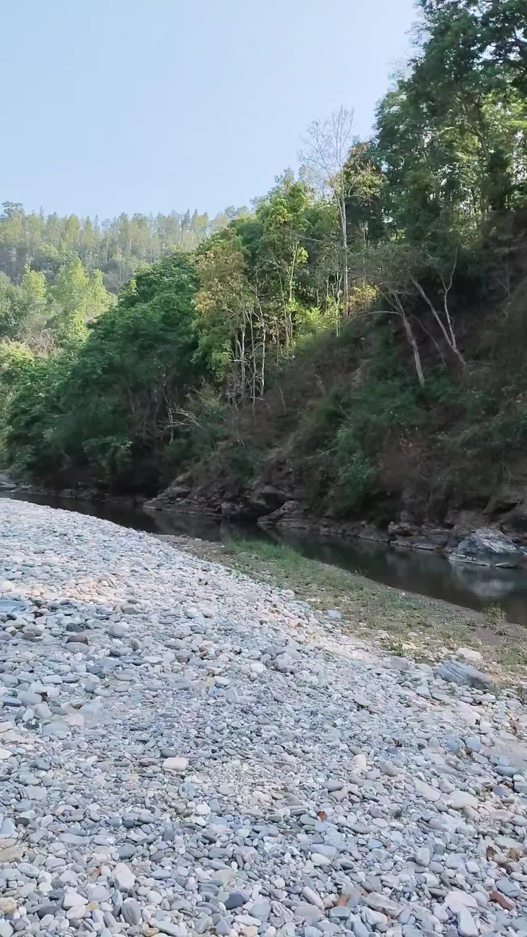 @dipakthapa8344