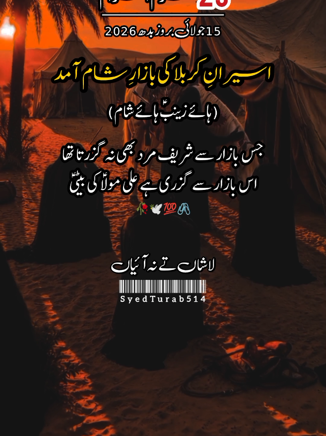 @سید علی ابوتراب ہمدانی