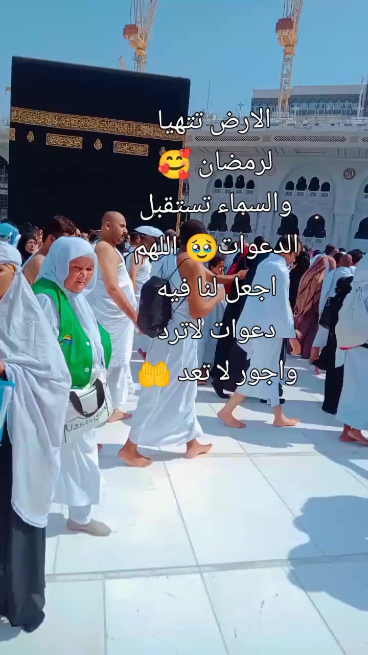@Doaa Mohammed