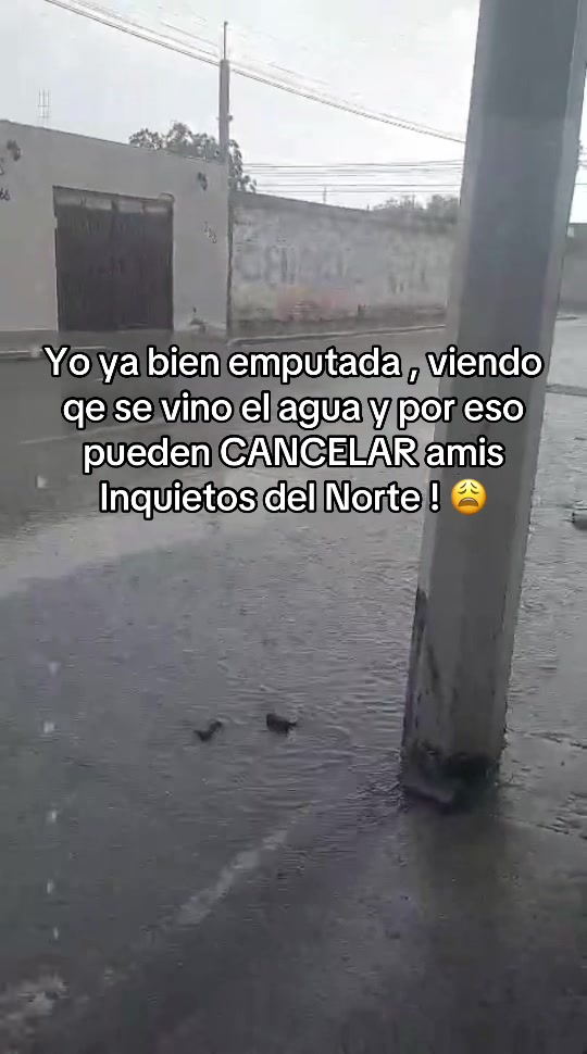 @Tania