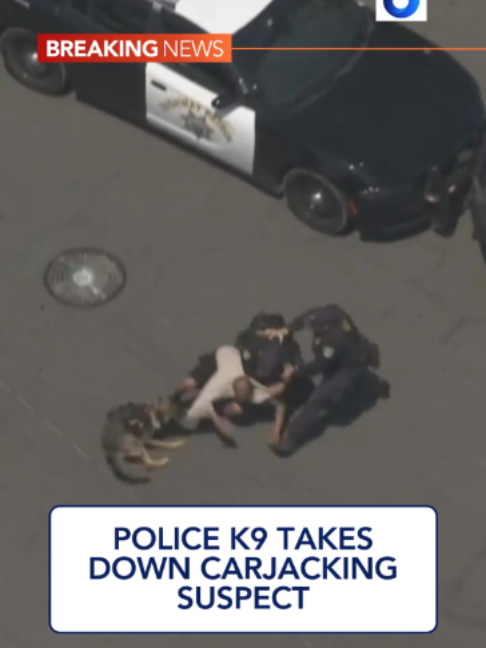 @KTLA 5 News