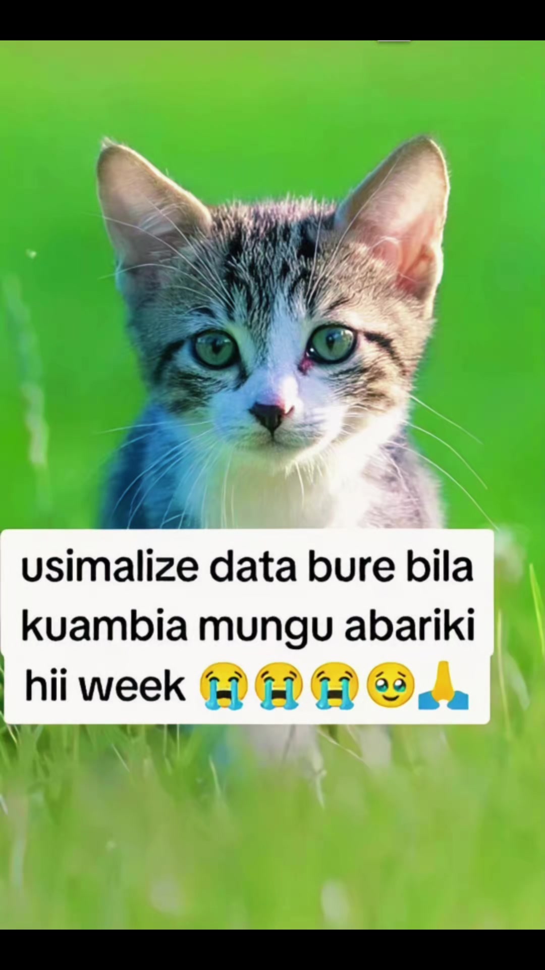 @yohana mollel