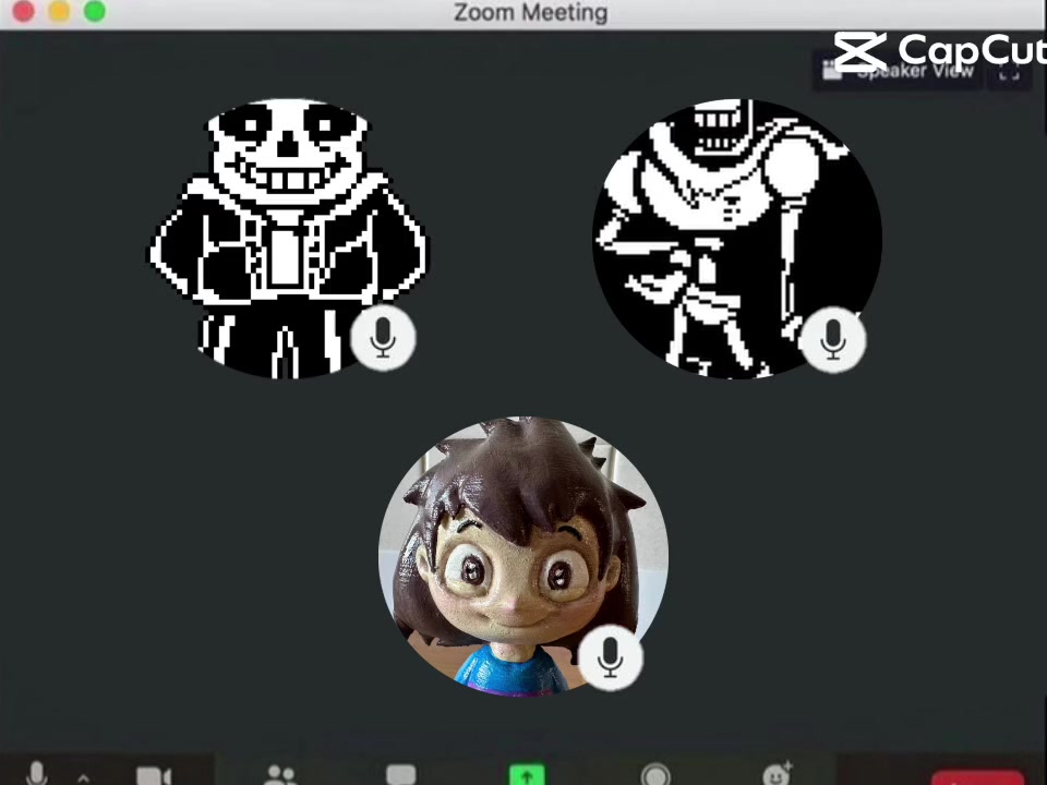 @sans