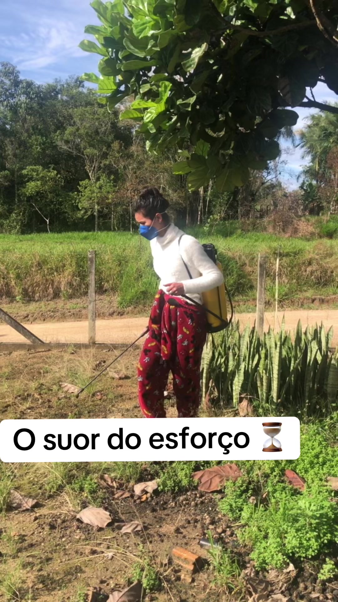 @Thais Voss