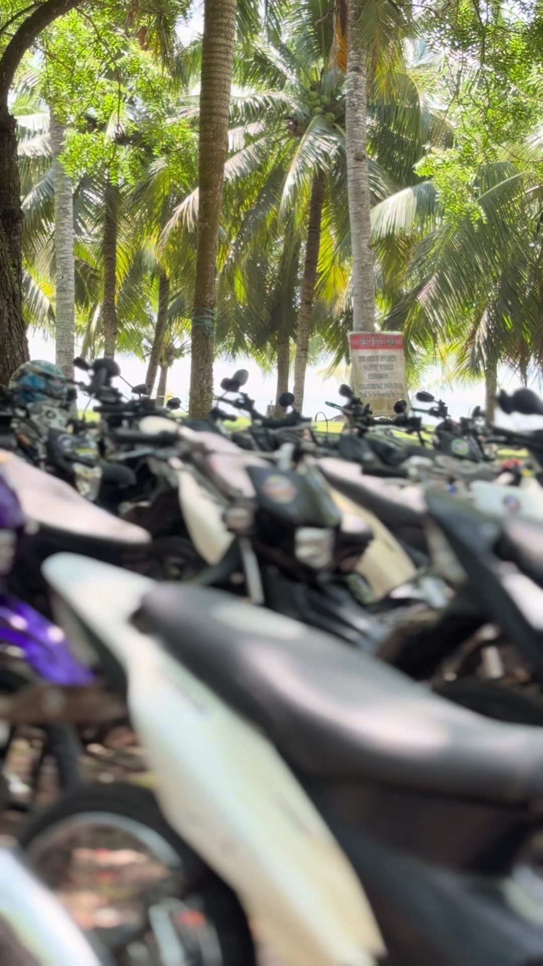 @HaroldT🇻🇳