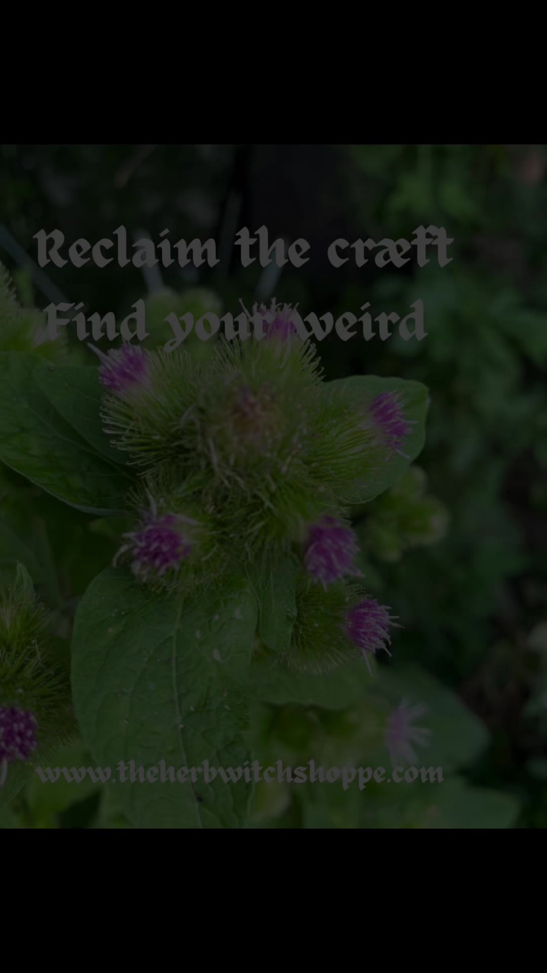 @WitchofWyrd🍁🇨🇦