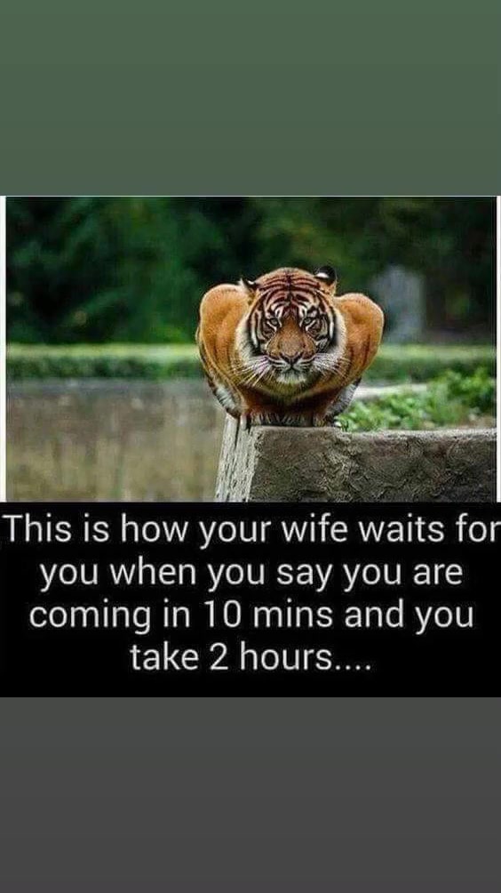 @Wesley Govender