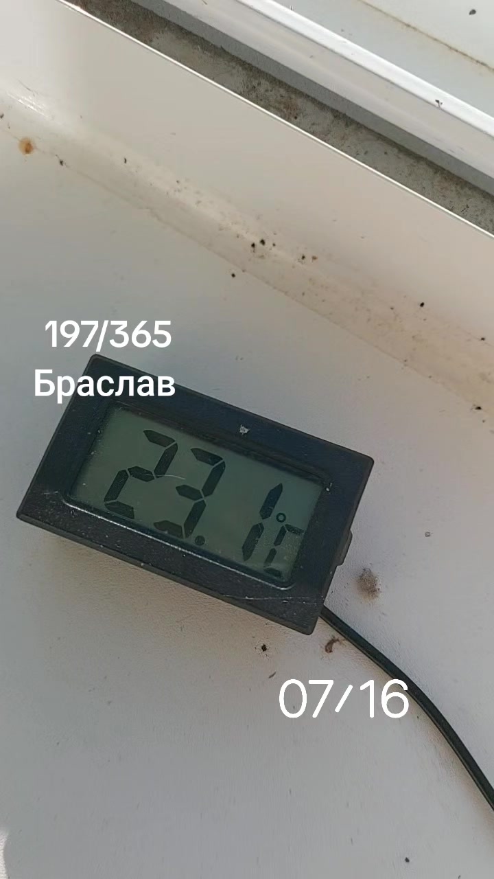 @Аленка