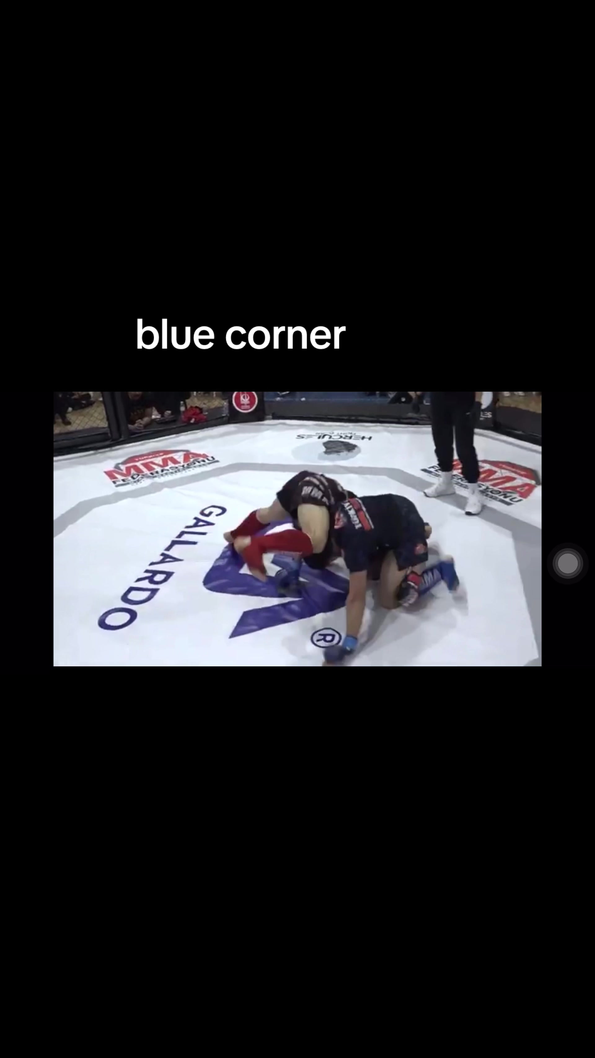 @mma fighter