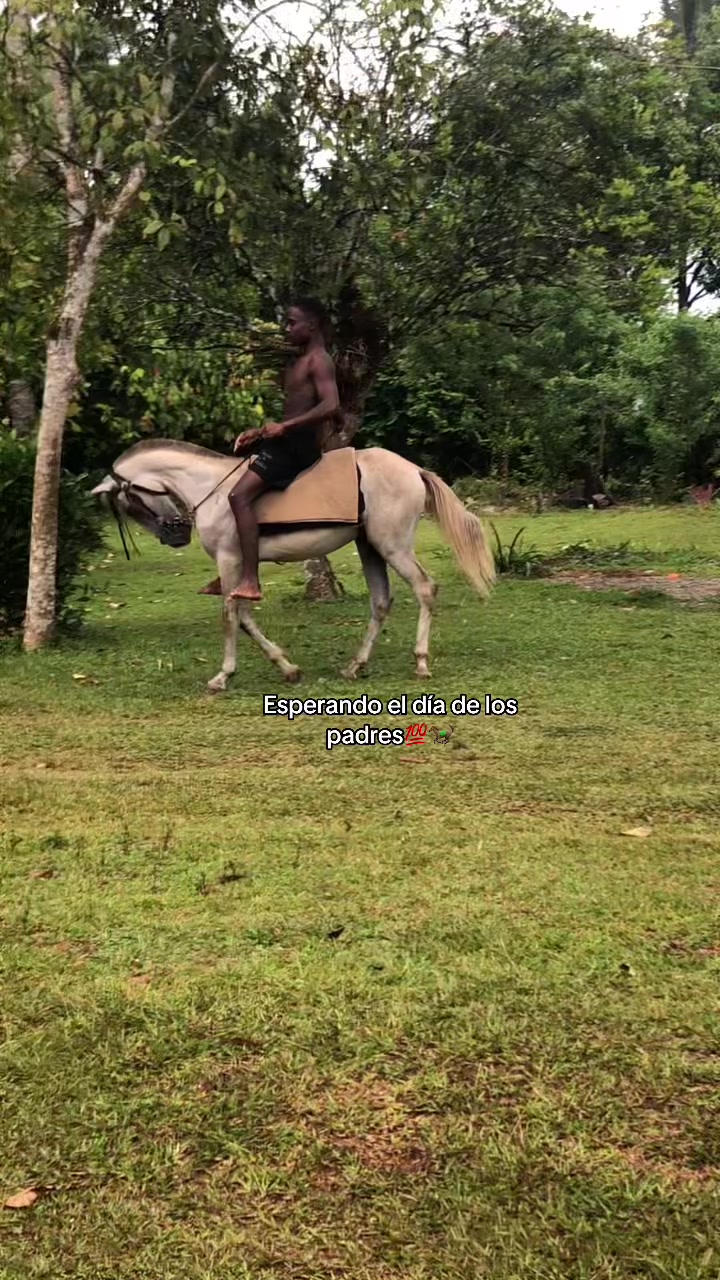 @Daniel 👾🩶