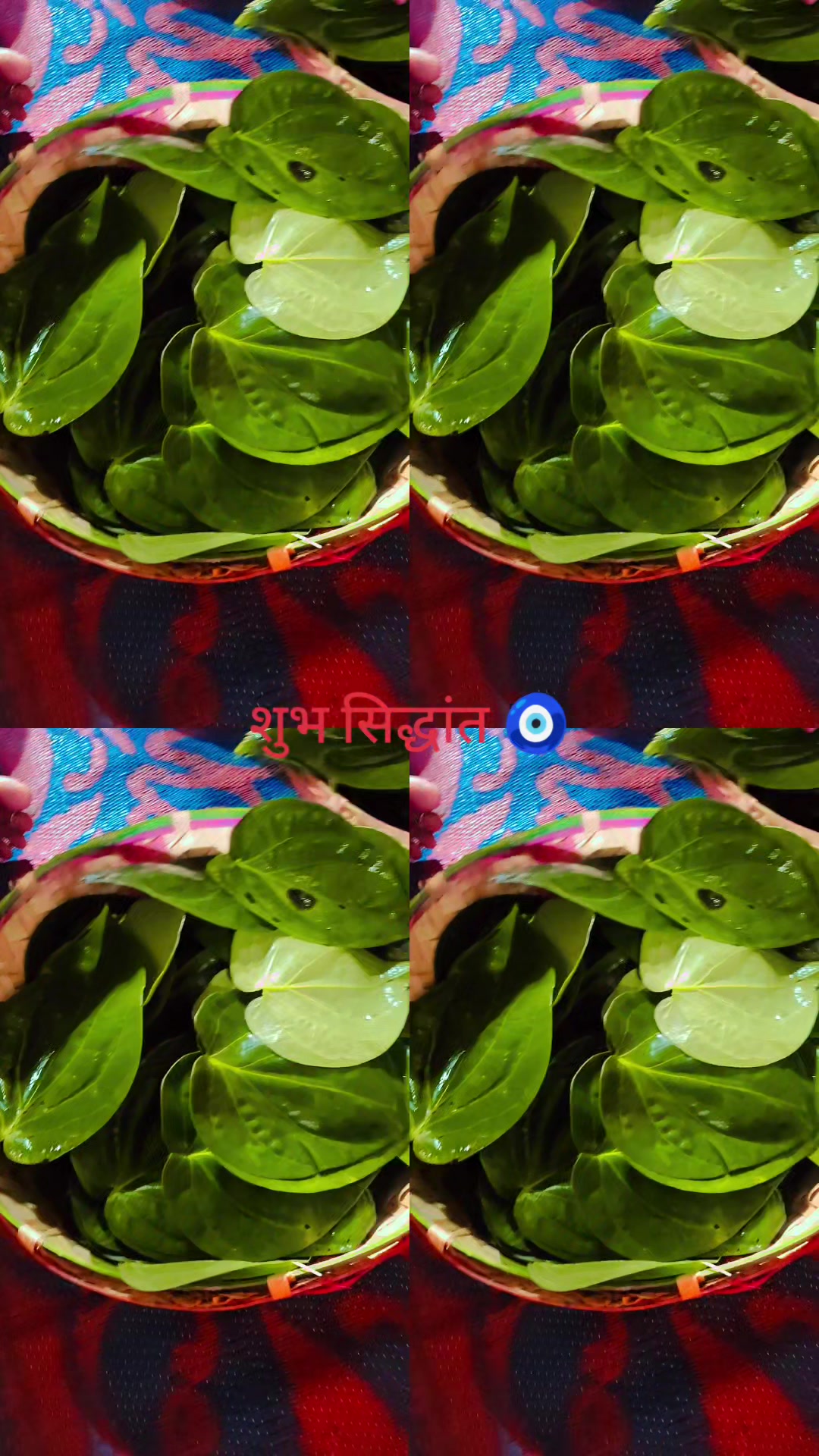 @nutankarn145